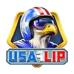 USA Flip game thumbnail