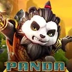 Panda Warrior